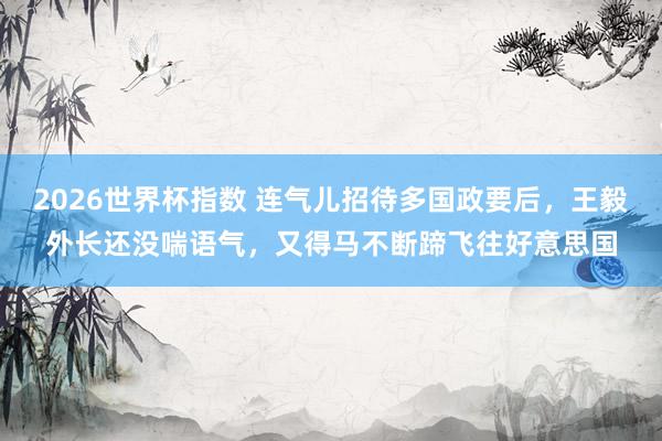 2026世界杯指数 连气儿招待多国政要后，王毅外长还没喘语气，又得马不断蹄飞往好意思国