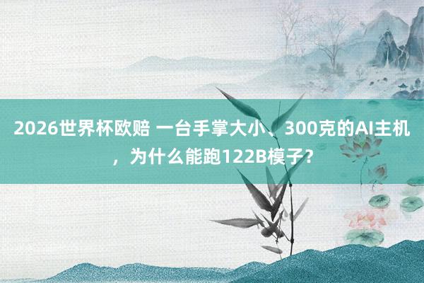 2026世界杯欧赔 一台手掌大小、300克的AI主机，为什么能跑122B模子？