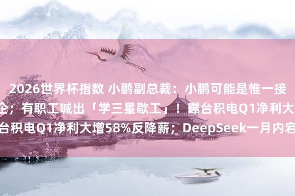 2026世界杯指数 小鹏副总裁：小鹏可能是惟一接待特斯拉FSD入华的车企；有职工喊出「学三星歇工」！曝台积电Q1净利大增58%反降薪；DeepSeek一月内宕机三次