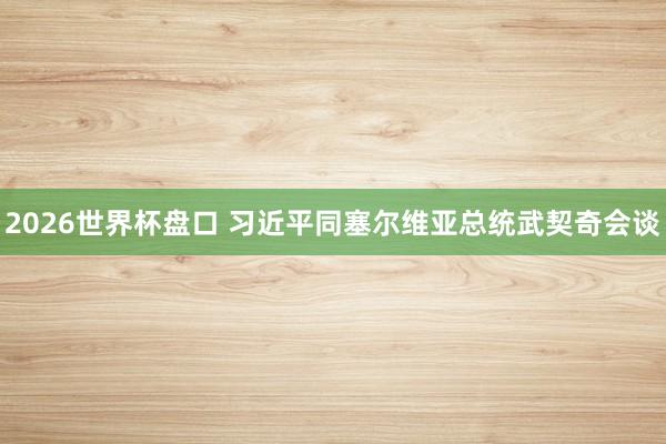 2026世界杯盘口 习近平同塞尔维亚总统武契奇会谈