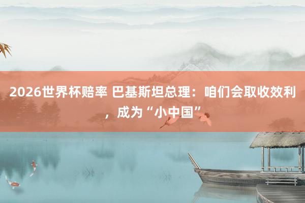 2026世界杯赔率 巴基斯坦总理:咱们会取收效利,成为“小中国”