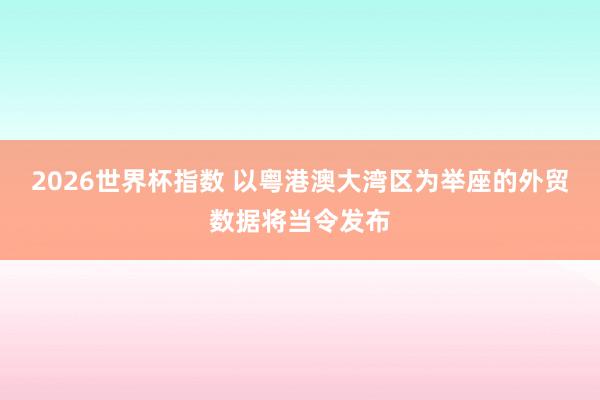 2026世界杯指数 以粤港澳大湾区为举座的外贸数据将当令发布