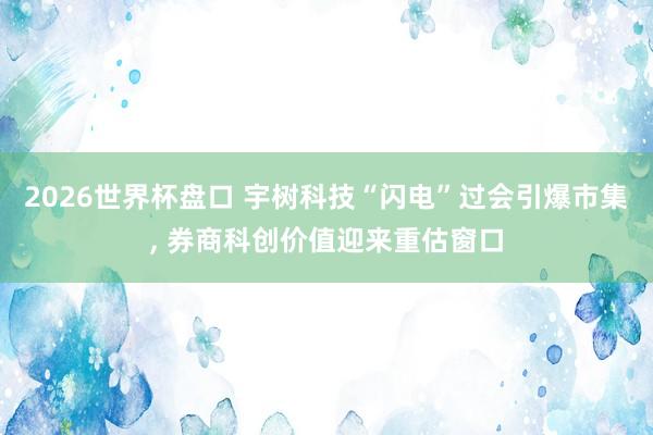2026世界杯盘口 宇树科技“闪电”过会引爆市集， 券商科创价值迎来重估窗口