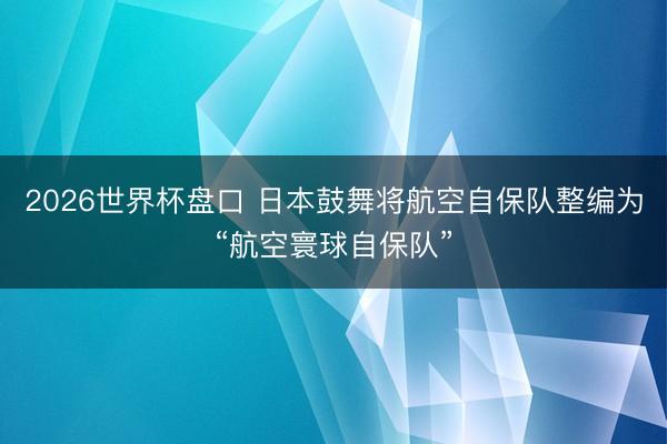 2026世界杯盘口 日本鼓舞将航空自保队整编为“航空寰球自保队”