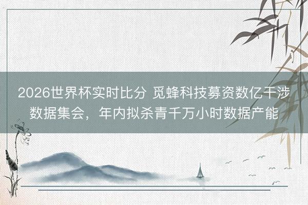 2026世界杯实时比分 觅蜂科技募资数亿干涉数据集会，年内拟杀青千万小时数据产能