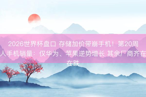 2026世界杯盘口 存储加价带崩手机！第20周人人手机销量：仅华为、苹果逆势增长 其余厂商齐在跌